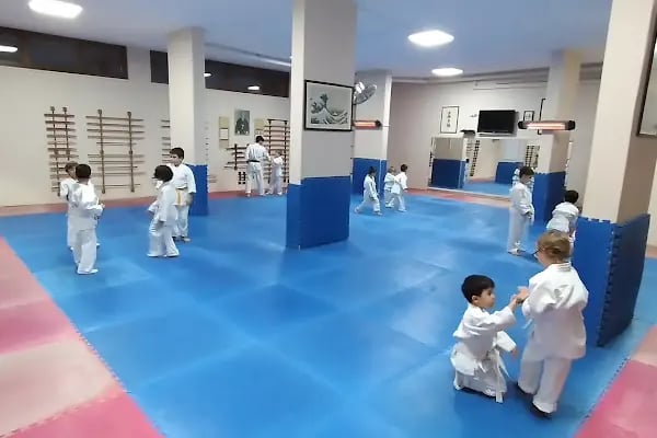 DOĞUKAN DOJO AiKiDO - Resim 1