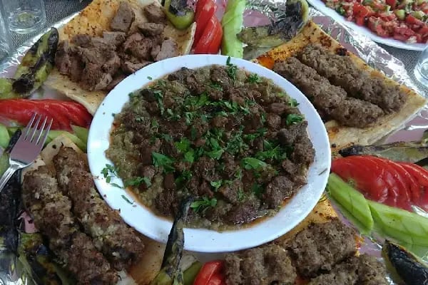 Çermik Sinek Şelalesi Aile Çay Bahçesi - Resim 3