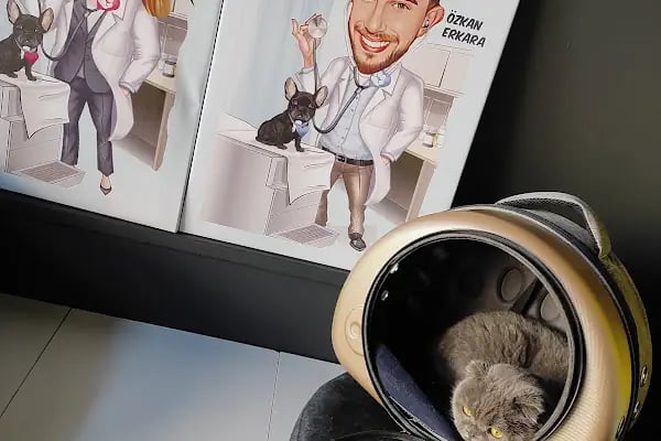 Leon Veteriner Kliniği - Resim 14