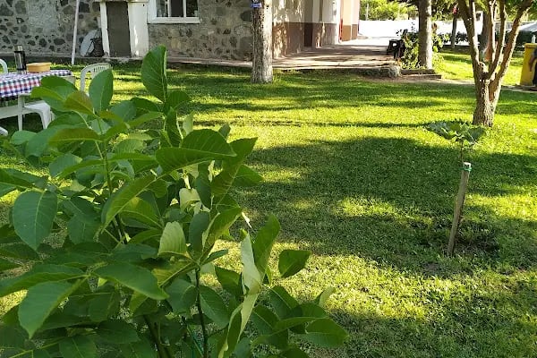 Karayolları 43. Şubesi Şefliği Ayaş Bakımevi - Resim 3