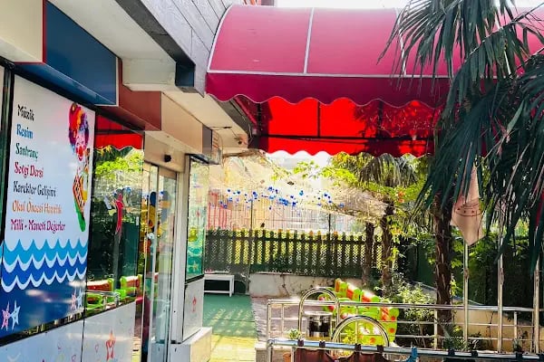 Deniz Yıldızı Kreş Ve Gündüz Bakım Evi - Resim 10