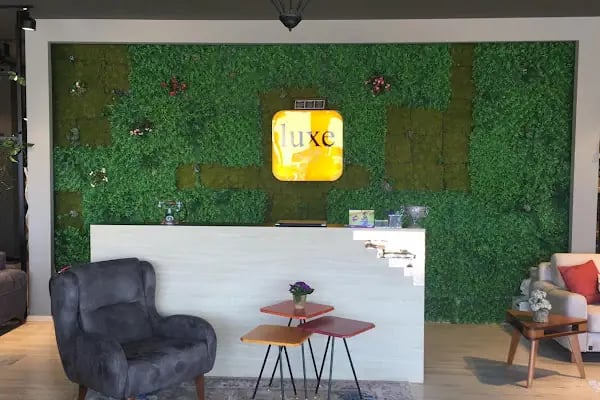Luxe Life Şaşırtan Mobilyalar Edremit - Resim 3