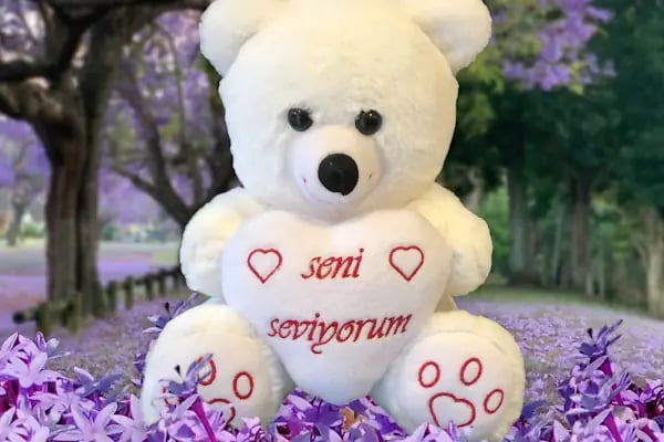 LİYA OYUNCAK SAN.VE TİC.LTD.ŞTİ. - Resim 13