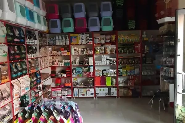 Yıldız Petshop - Resim 17