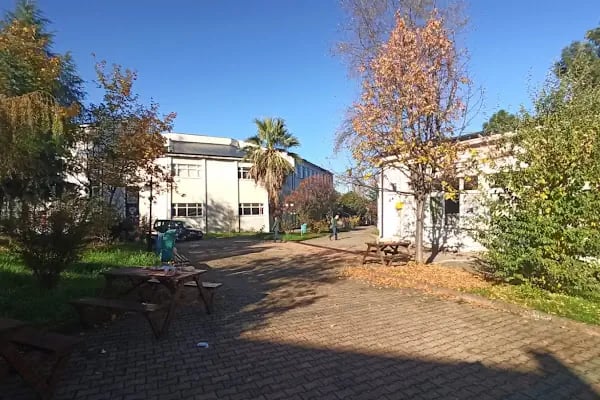 Trabzon Üniversitesi Fatih Eğitim Fakültesi - Resim 10
