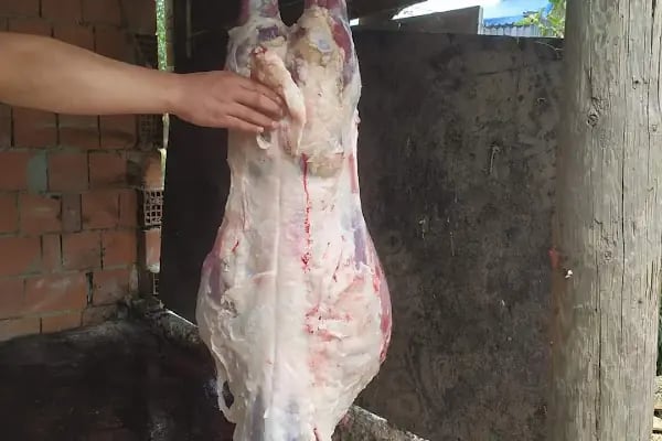 ARNAVUTKÖY ADAK PAZARI - Resim 4