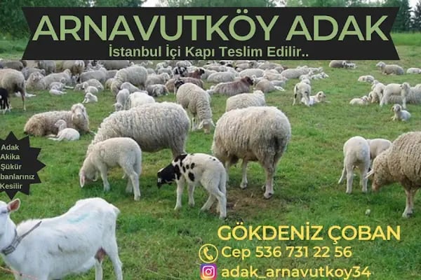 ARNAVUTKÖY ADAK PAZARI - Resim 3