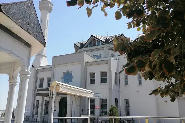 Zahidiye Camii - Resim 5