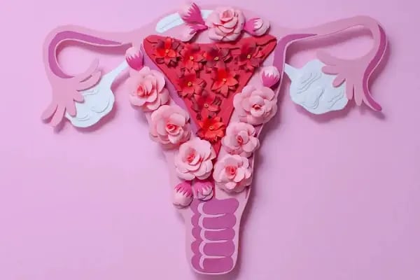 Gynecology Clinic Istanbul -Labiaplasty -Vaginoplasty- Hymenoplasty - Resim 10