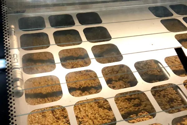 Aslanoğlu Zeytinyağı Fabrikası - Resim 10