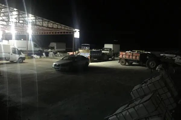 Aslanoğlu Zeytinyağı Fabrikası - Resim 4