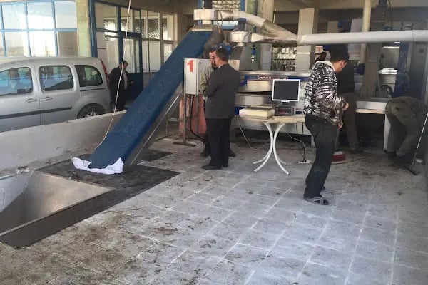 Aslanoğlu Zeytinyağı Fabrikası - Resim 12