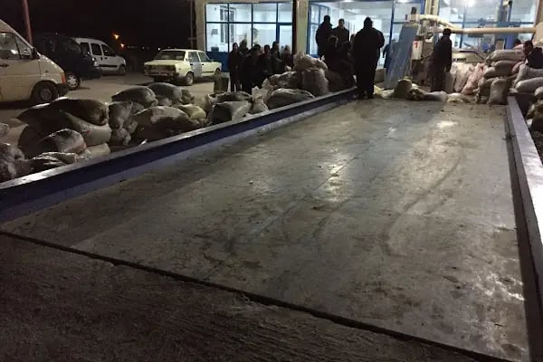 Aslanoğlu Zeytinyağı Fabrikası - Resim 1