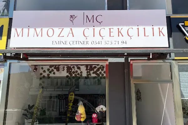 MİMOZA ÇİÇEKÇİLİK BUCAK - Resim 2