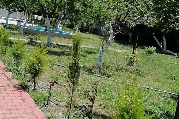 Akgündüz Müzik - Resim 19