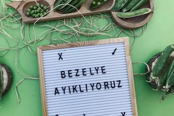 Papatyam Kreş ve Gündüz Bakımevi - Resim 3