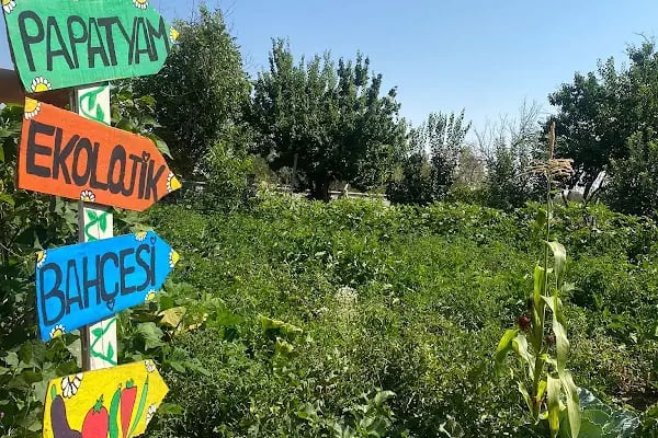 Papatyam Kreş ve Gündüz Bakımevi - Resim 6
