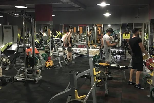 Synergy Fitness - Resim 16