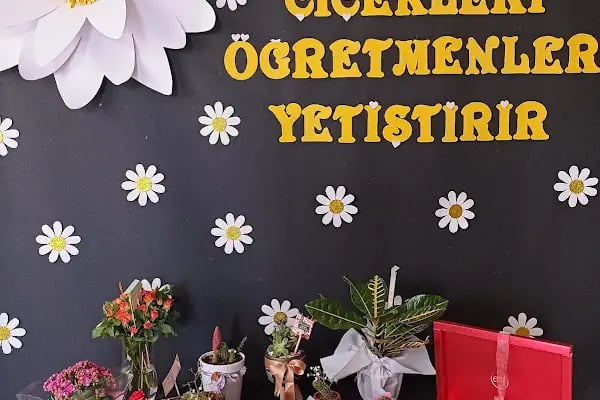 GELİNCİK KREŞ ve GÜNDÜZ BAKIMEVİ - Resim 5