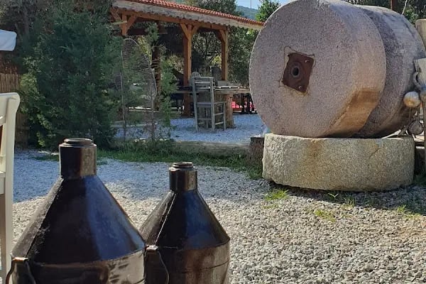 Bekiroğlu Zeytinyağı Fabrikasi - Resim 18