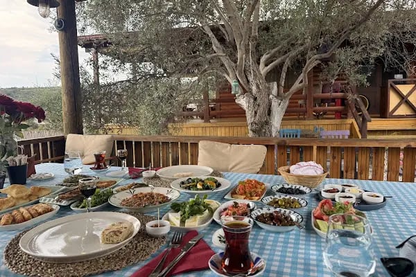 Bekiroğlu Zeytinyağı Fabrikasi - Resim 3
