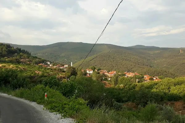 Osmanlar Köyü Muhtarlığı - Resim 3
