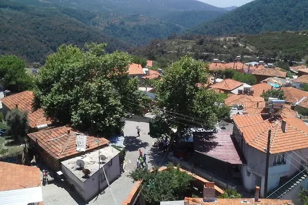 Osmanlar Köyü Muhtarlığı - Resim 5
