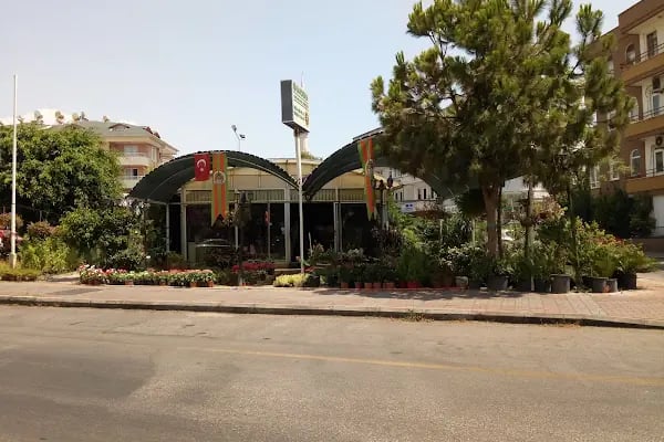 Alanya Arsa Ofisi - Land Office - Gazi inşaat Emlak - Resim 6