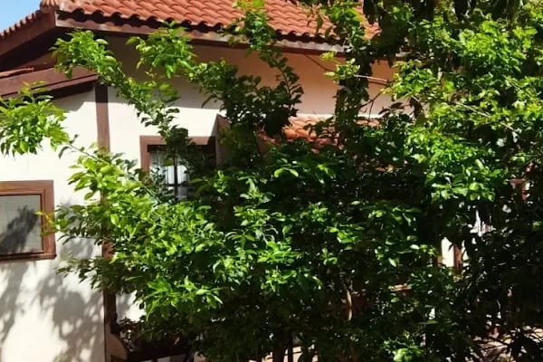 Alanya Arsa Ofisi - Land Office - Gazi inşaat Emlak - Resim 15