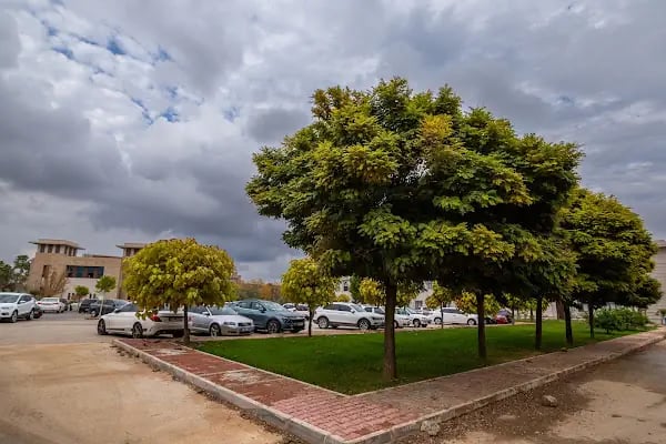 Antalya Bilim Üniversitesi - Resim 20
