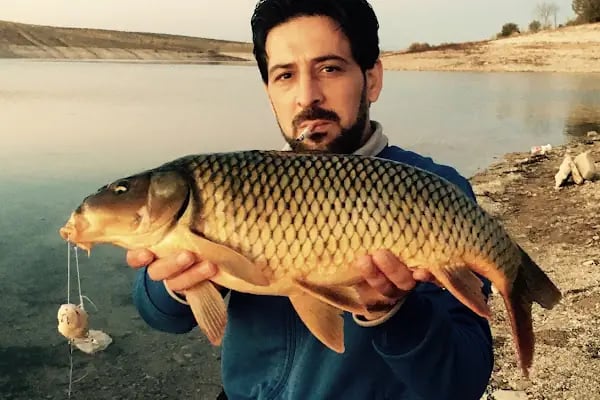 Kaptaş piknik alanı - Resim 19