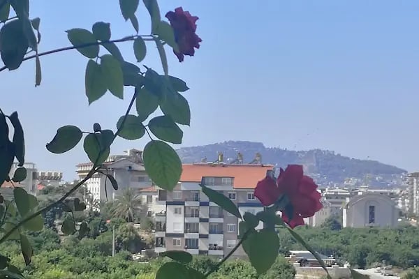 Yüzbaşıoğlu Konakları - Resim 5