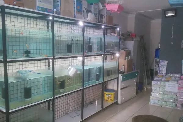 Akd Petshop Ve Akvaryum - Resim 17