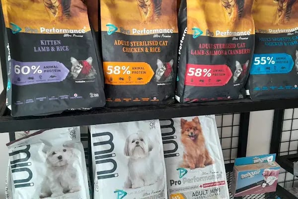 Akd Petshop Ve Akvaryum - Resim 3