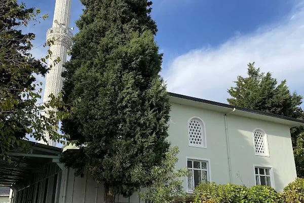 Sazlıbosna Cami - Resim 6