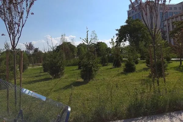 dıșkapı parkı - Resim 5