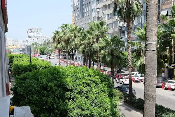 Fizyo Uzman Fizik Tedavi Danışmanlığı Atatürk Caddesi Şubesi - Resim 3