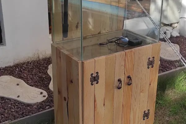 Koi fish İzmir ebinç - Resim 19