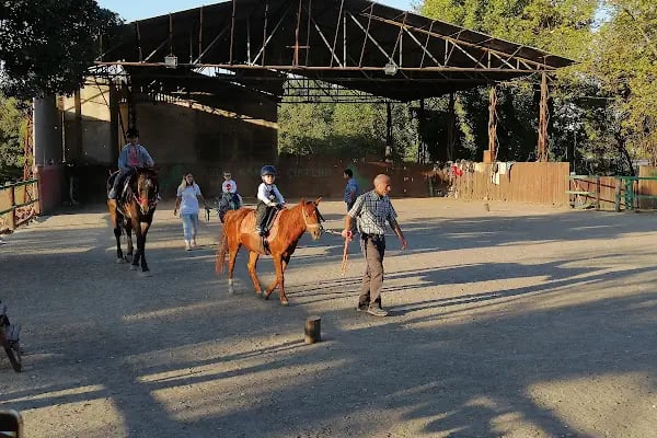 Aslı Hanım At Çiftliği - Resim 16