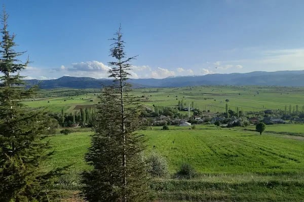 Hasbey Dar'ül Huffazı - Resim 20