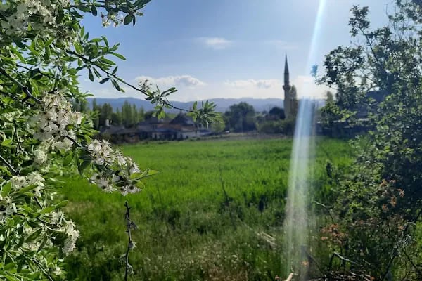 Hasbey Dar'ül Huffazı - Resim 3