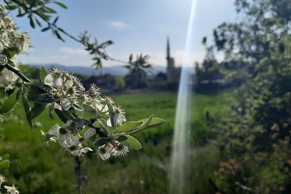 Hasbey Dar'ül Huffazı - Resim 19