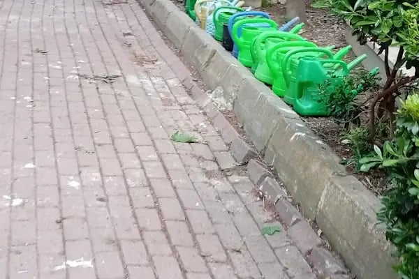 İstanbul Büyükşehir Belediyesi Güngören Mezarlığı - Resim 6