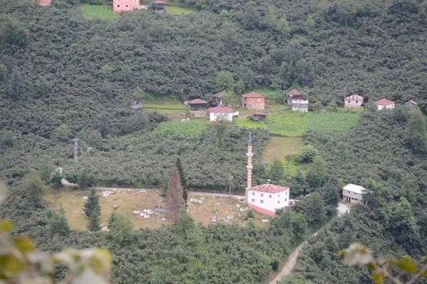 Ceylanpınar Köyü Camii - Resim 4