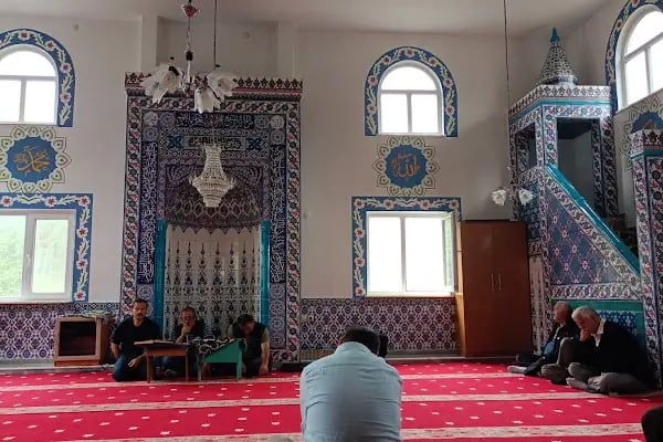 Ceylanpınar Köyü Camii - Resim 3