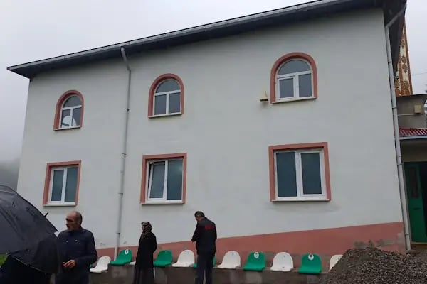 Ceylanpınar Köyü Camii - Resim 2