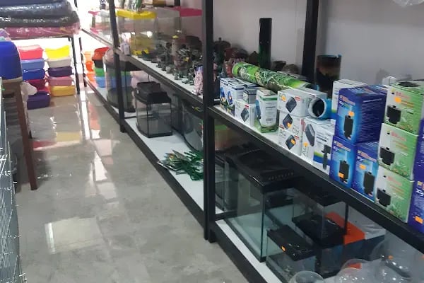 Pati Petshop - Resim 10