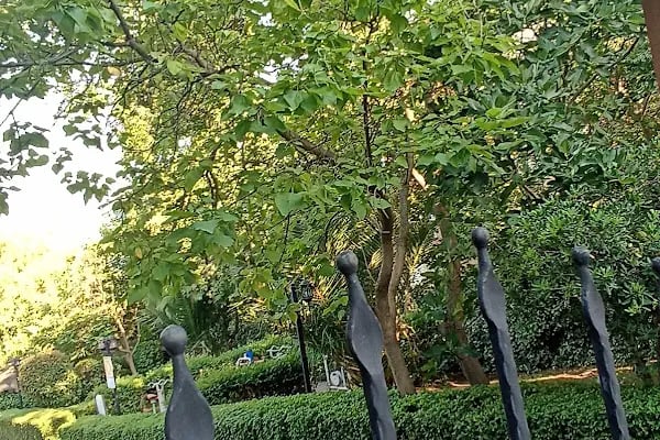Osmanlı Nargile Cafe Bilal Habeşi Parkı - Resim 16