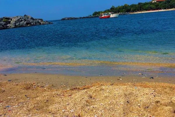 Çiroz Yeşilköy Halk Plajı - Resim 17