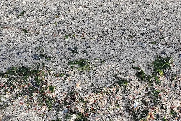 Çiroz Yeşilköy Halk Plajı - Resim 15